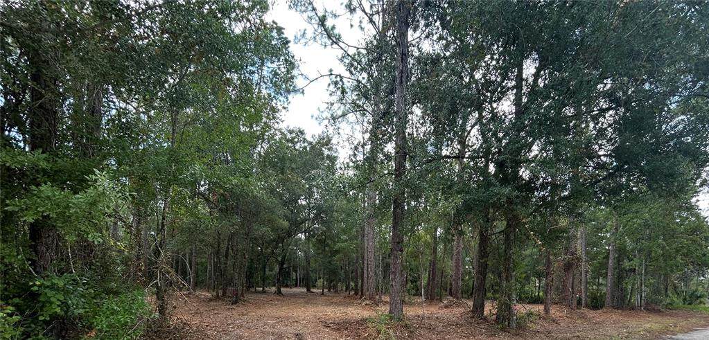  Westpoint Drive - Photo 1