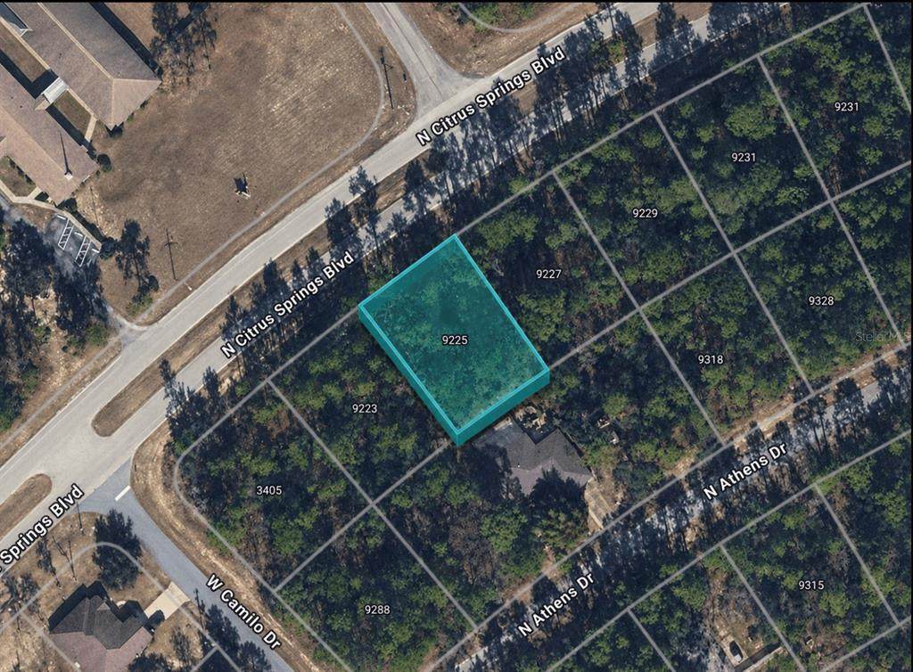 9225 Citrus Springs Boulevard - Photo 1