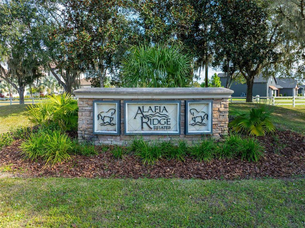 103 Alafia Estates Lane - Photo 1