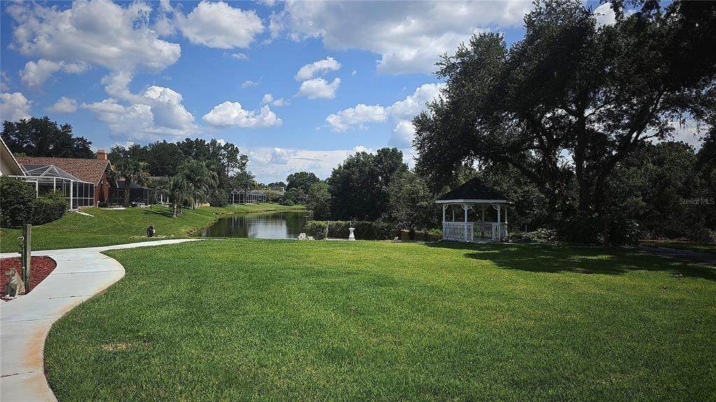 34826 Chelmsford Lane - Photo 1