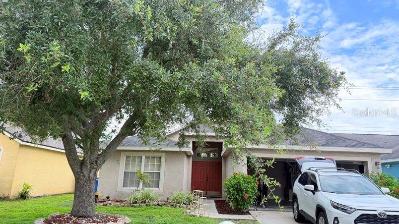 1120 Vinetree Drive - Photo 1