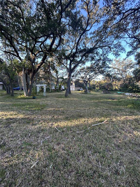 14428 Guava Street - Photo 1