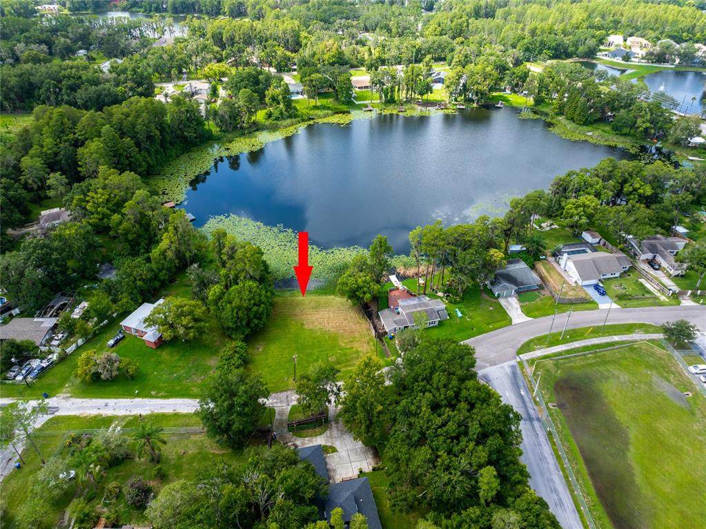 21414 Lake Sharon Drive - Photo 1