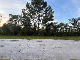 818 (BLK 131 LOT 9) Bougainville Drive - Photo 1