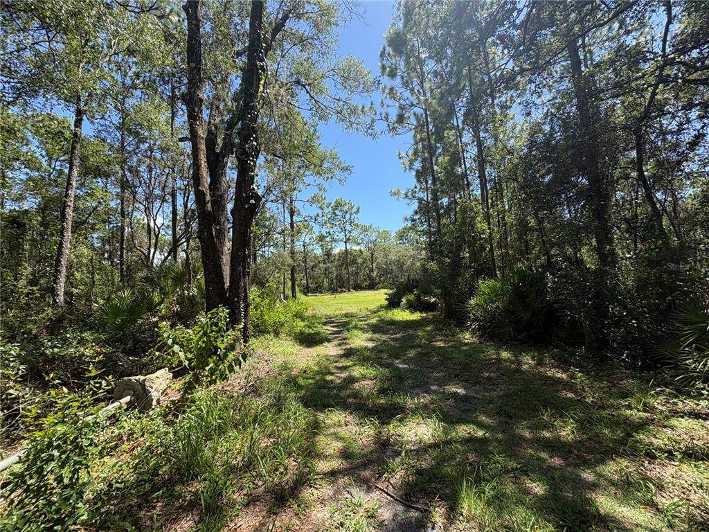 394 Florene Point - Photo 1