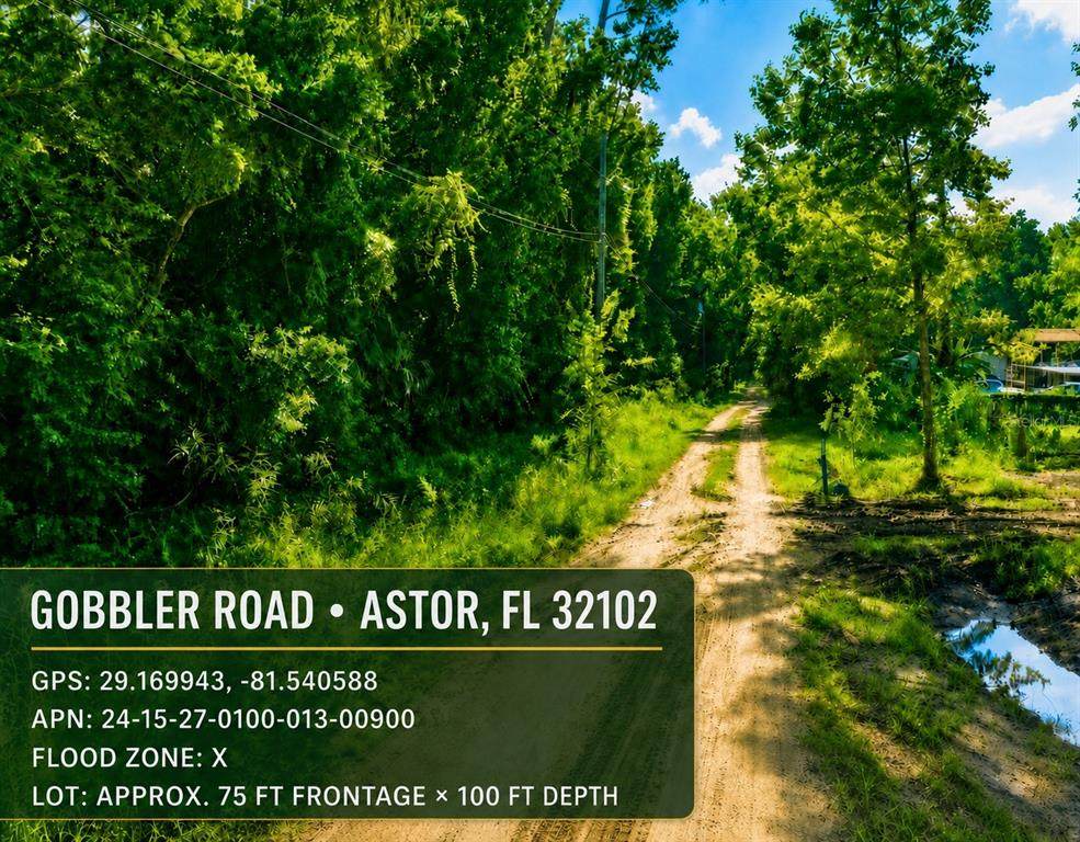  Gobbler Road - Photo 1