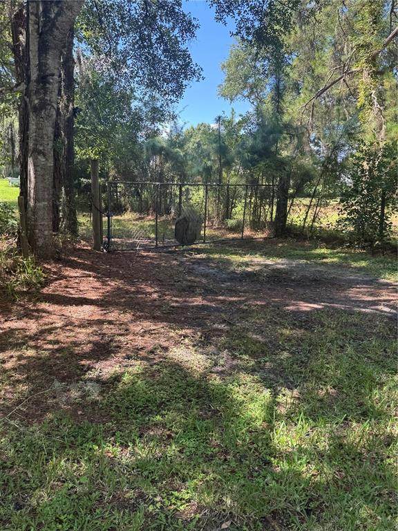 29244 Sanibel Drive - Photo 1