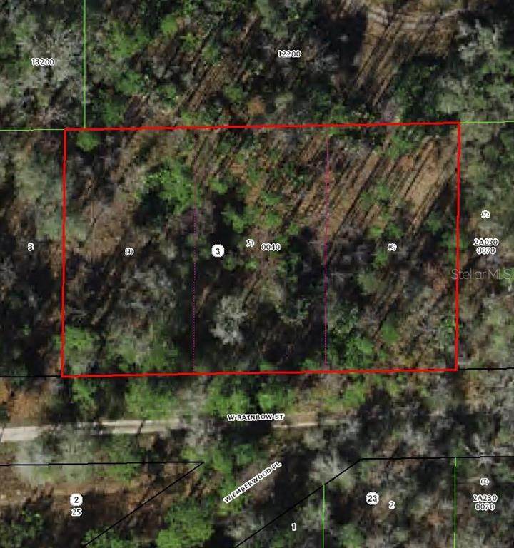 7265 Rainbow Street - Photo 1
