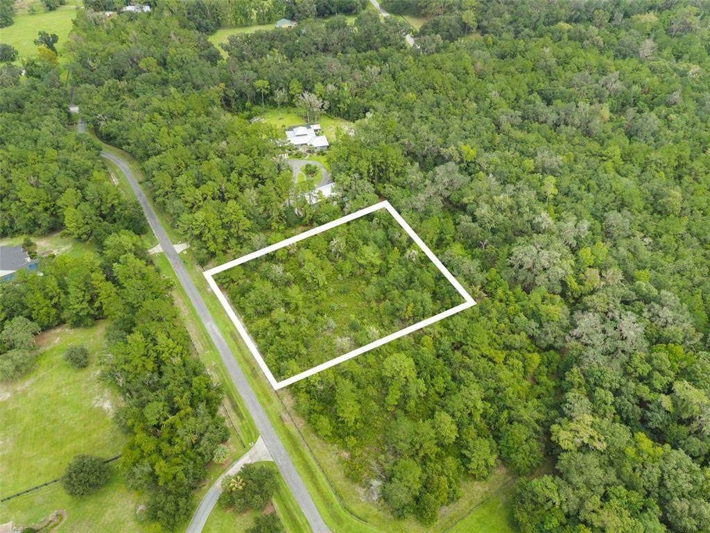 12563 17TH Drive - Photo 1
