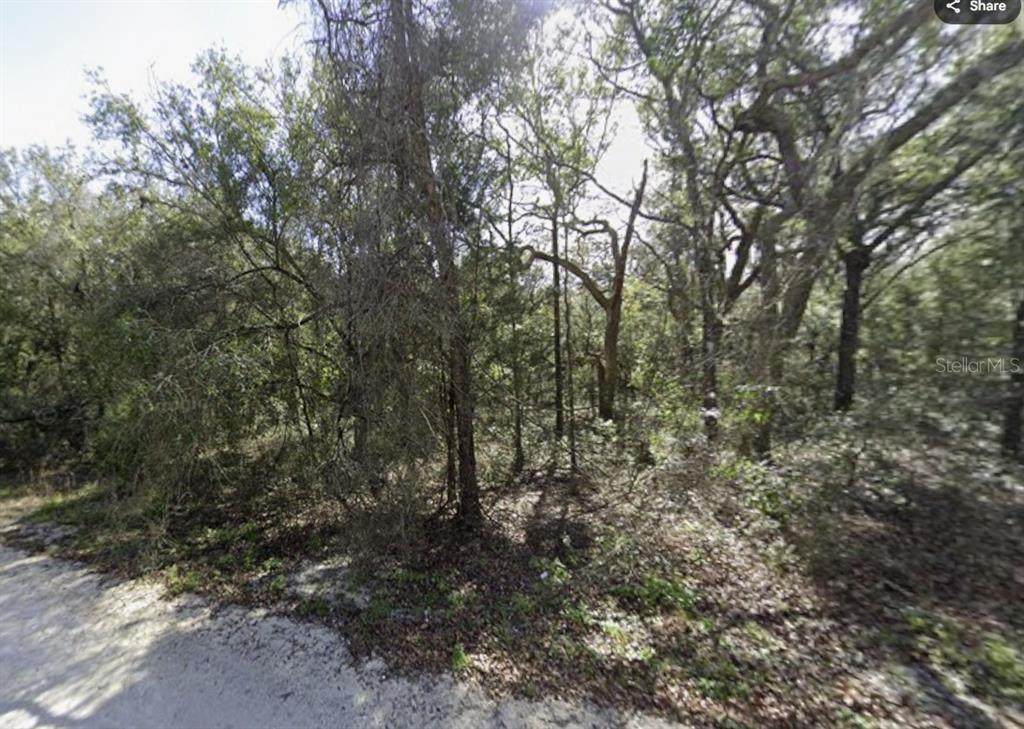 34086 Arrowrock Street - Photo 1