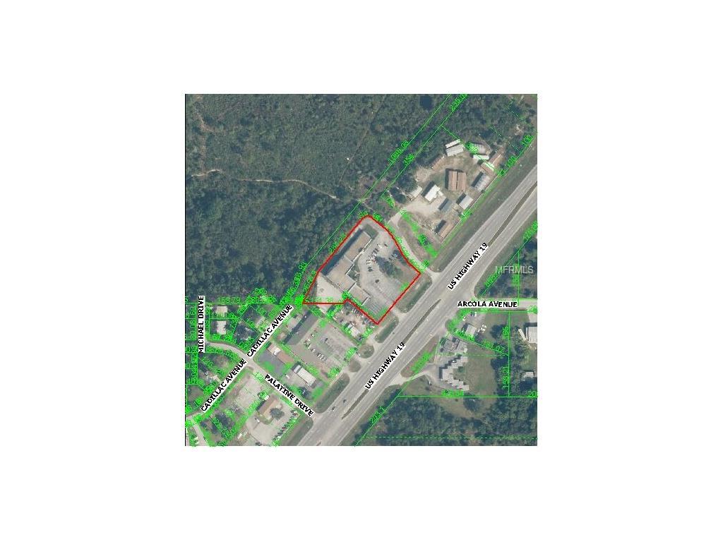 15225 Us Highway 19 - Photo 1
