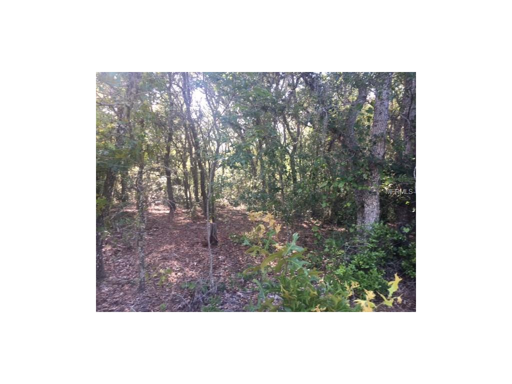 9035 Realstone Drive - Photo 1