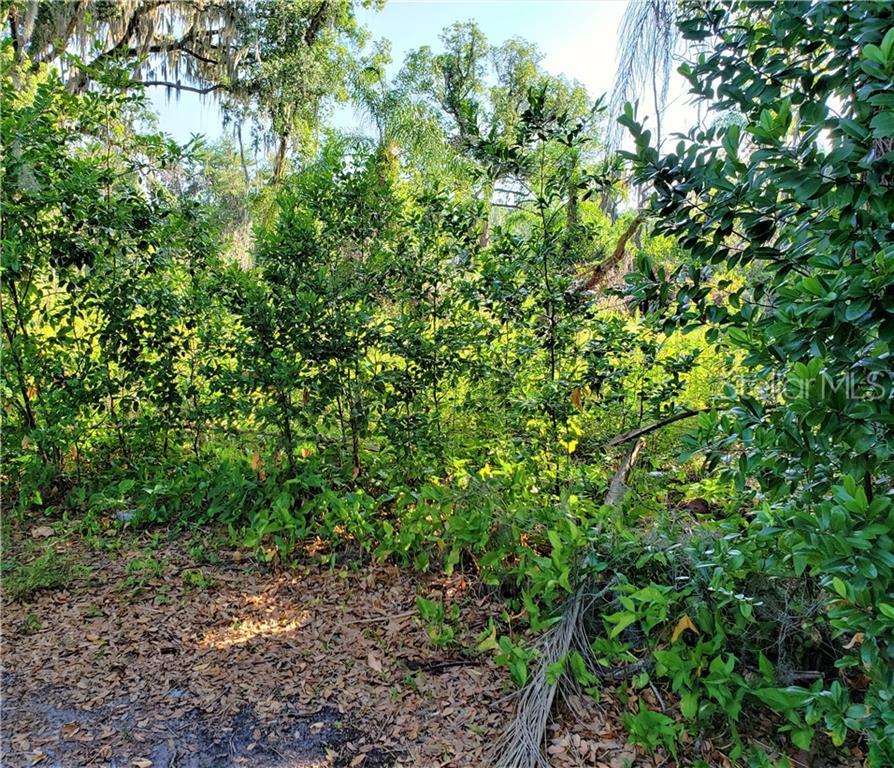 4214 Peaceful Lane - Photo 1