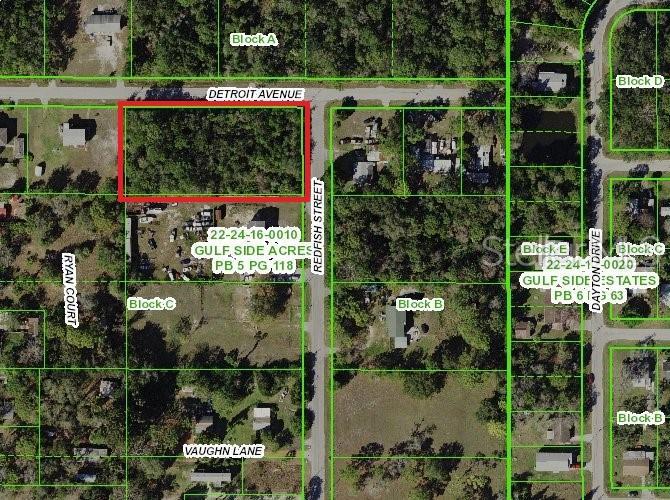 15199 Redfish Street - Photo 1