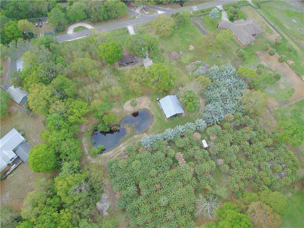 8123 Double Branch Road - Photo 1