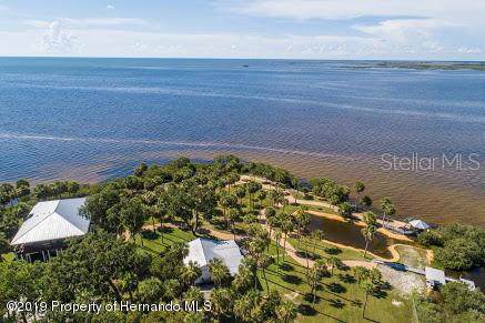 10492 Pine Island Drive - Photo 1