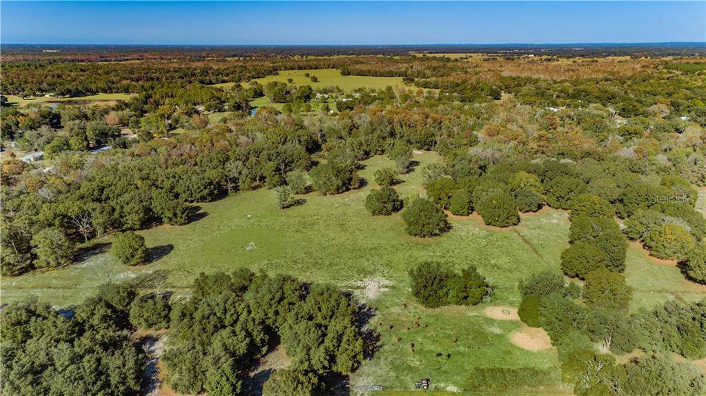 12500 Hamlin Road - Photo 1