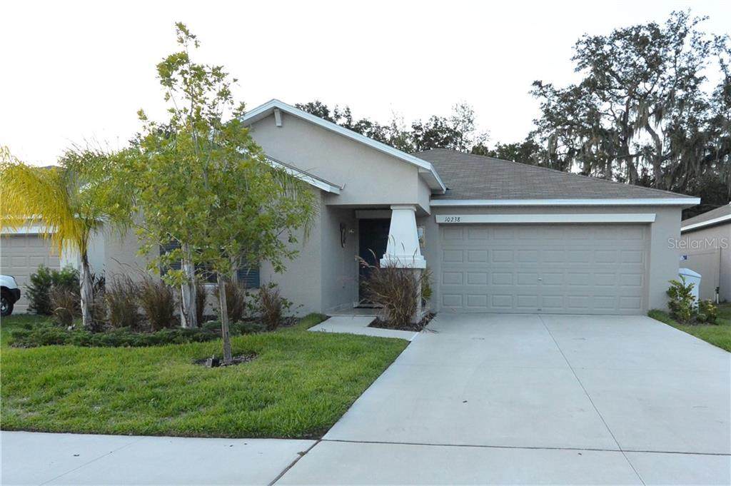 10238 Strawberry Tetra Drive - Photo 1