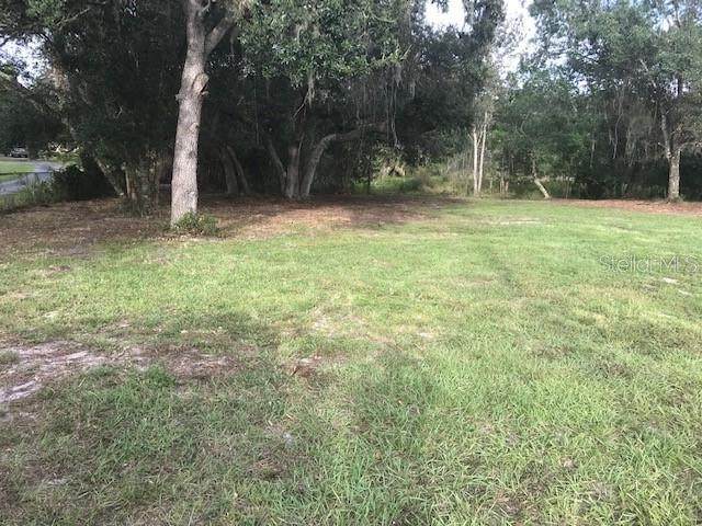 Golden Loop - Photo 1