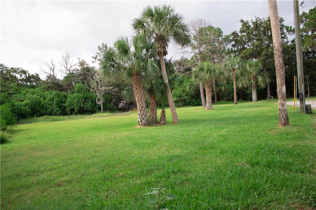 Royal Drive - Photo 1