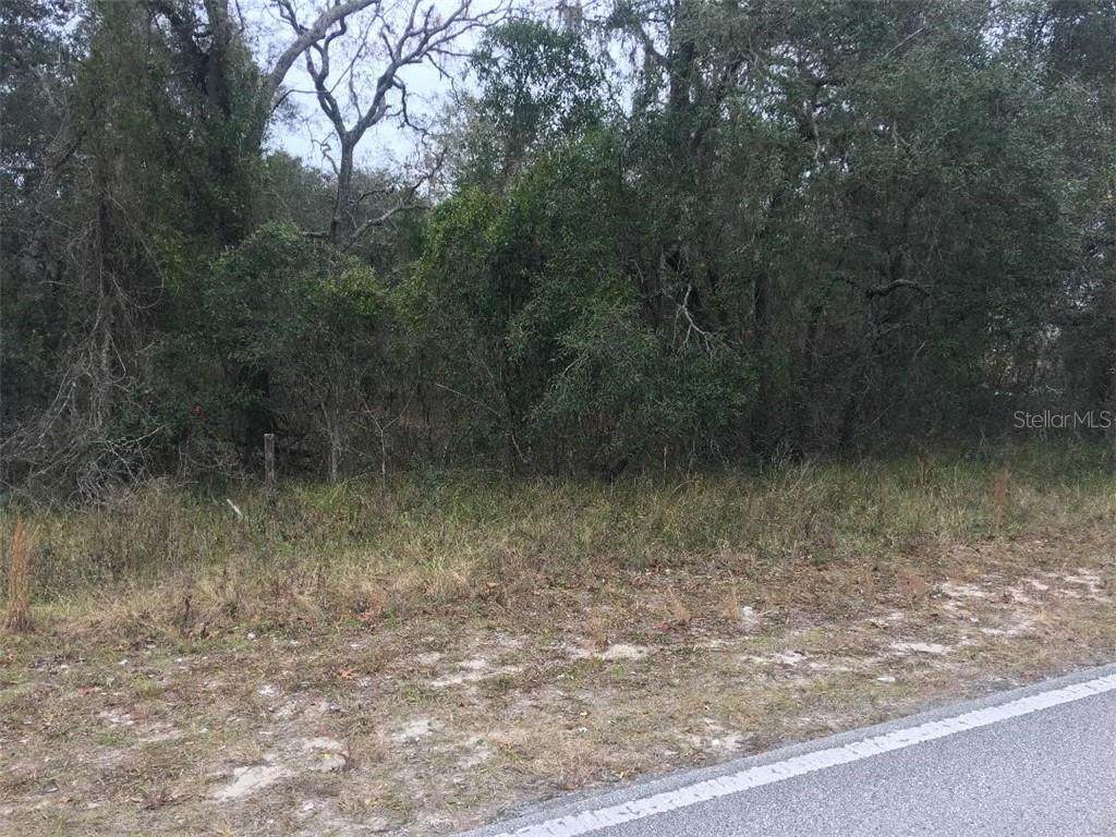 18933 Old Shady Hills Road - Photo 1
