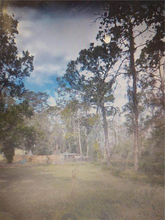 3805 Ward Road - Photo 1