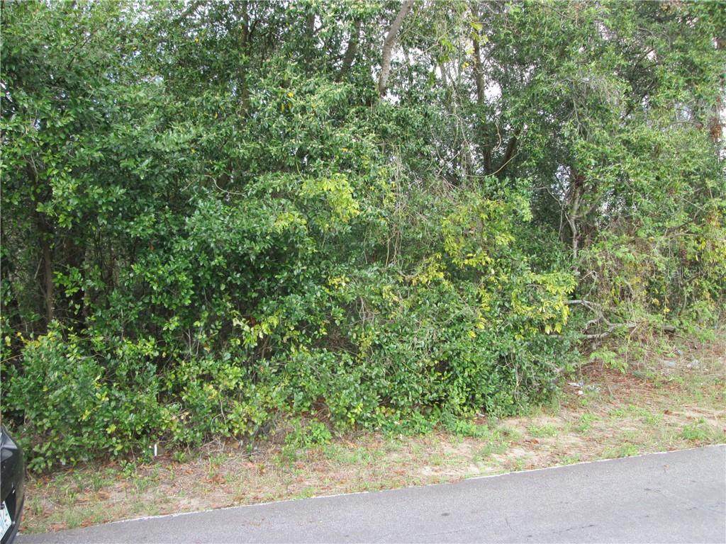 5251 Roble Avenue - Photo 1