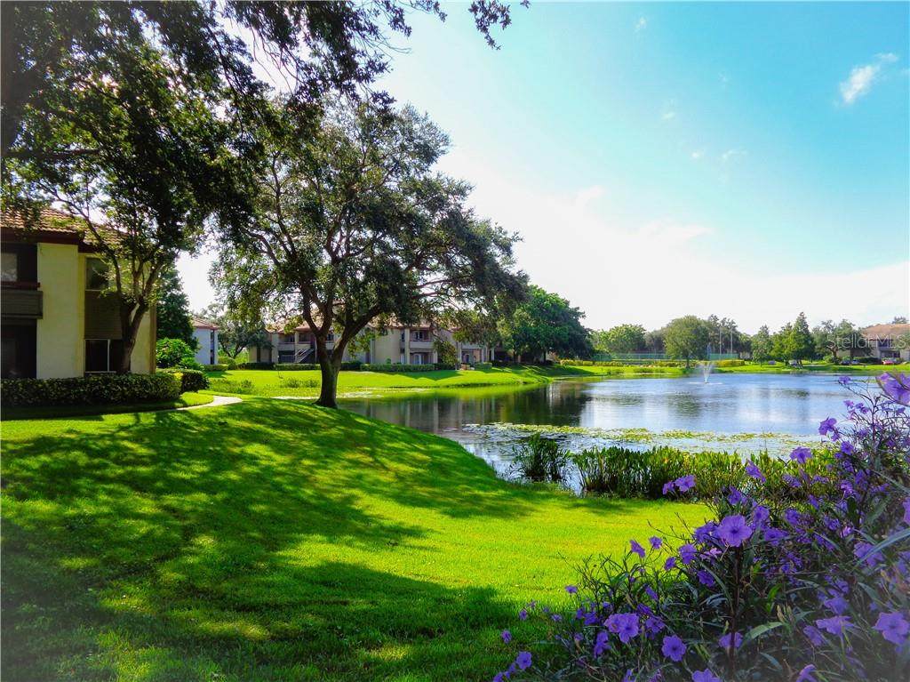 10265 Gandy Boulevard - Photo 1