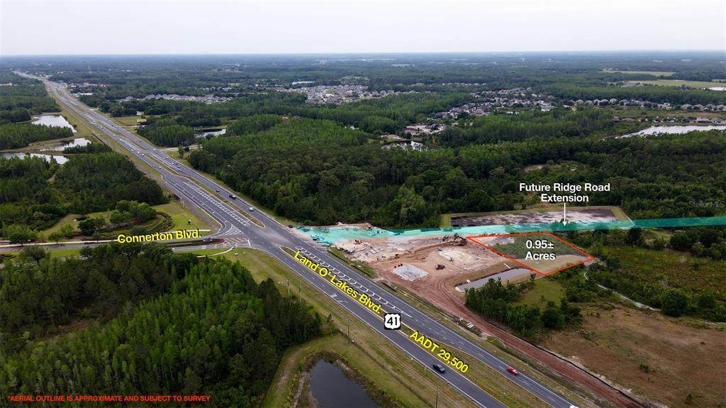 9077 Land O' Lakes Boulevard - Photo 1