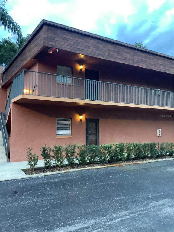4805 Alt 19 Road - Photo 1