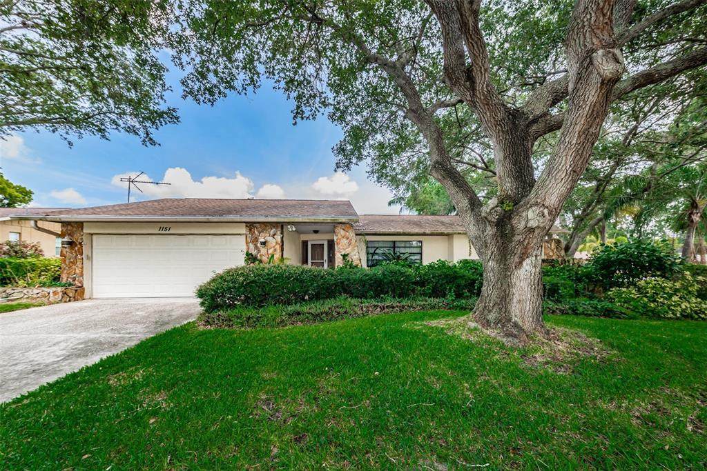 1151 Lemon Tree Lane - Photo 1