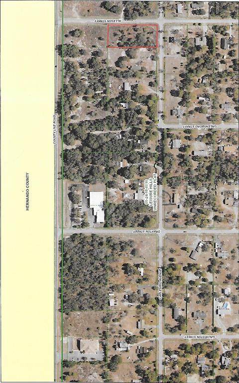 17203 Carlesimo Avenue - Photo 1