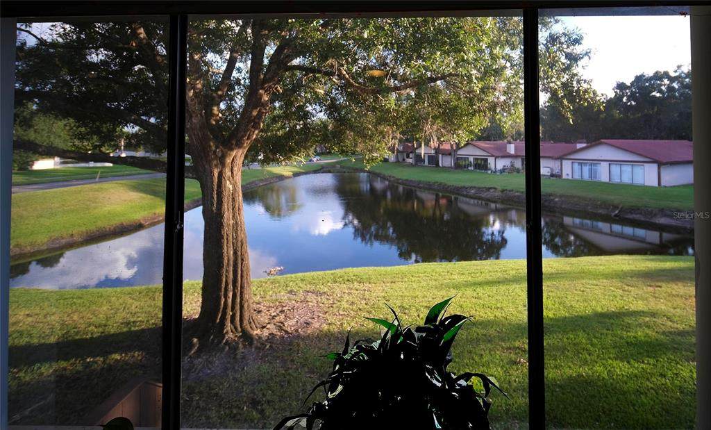 3505 Tarpon Woods Boulevard - Photo 1