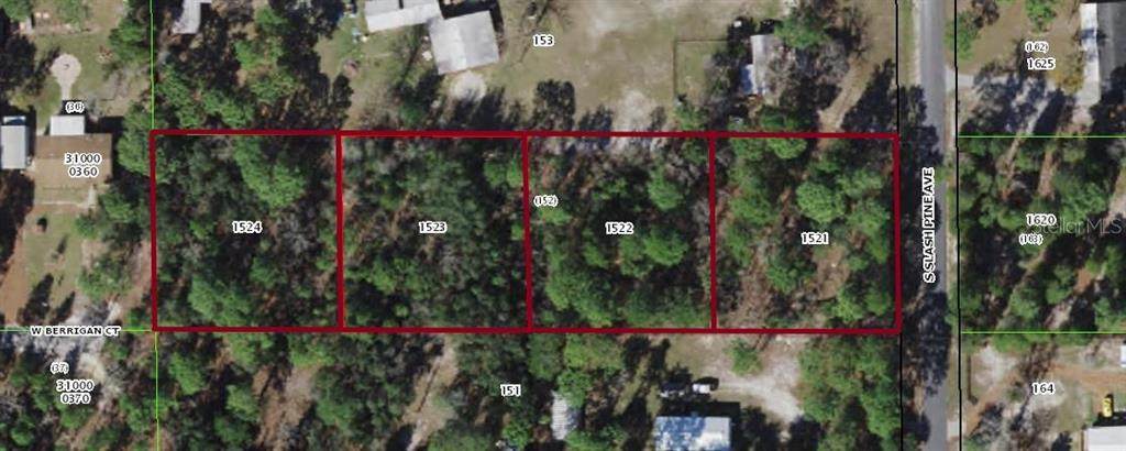 Slash Pine Avenue - Photo 1