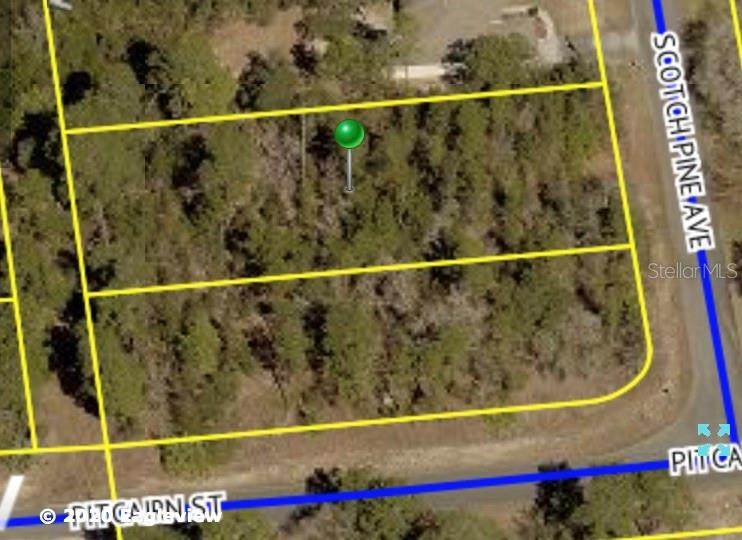 8273 Scotch Pine Avenue - Photo 1