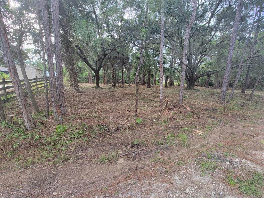 3284 Jared Avenue - Photo 1