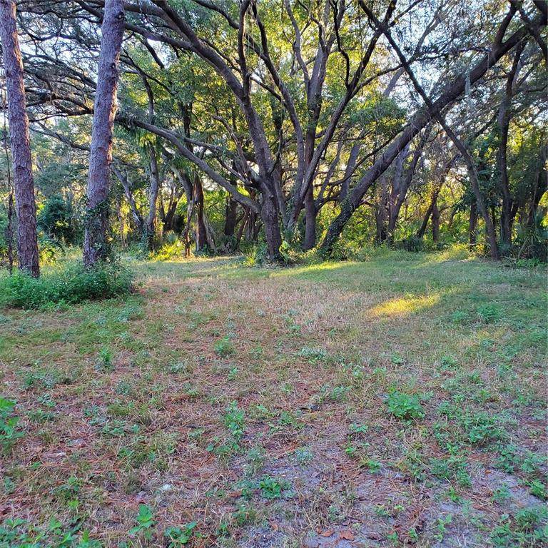 0 Wolford Road - Photo 1