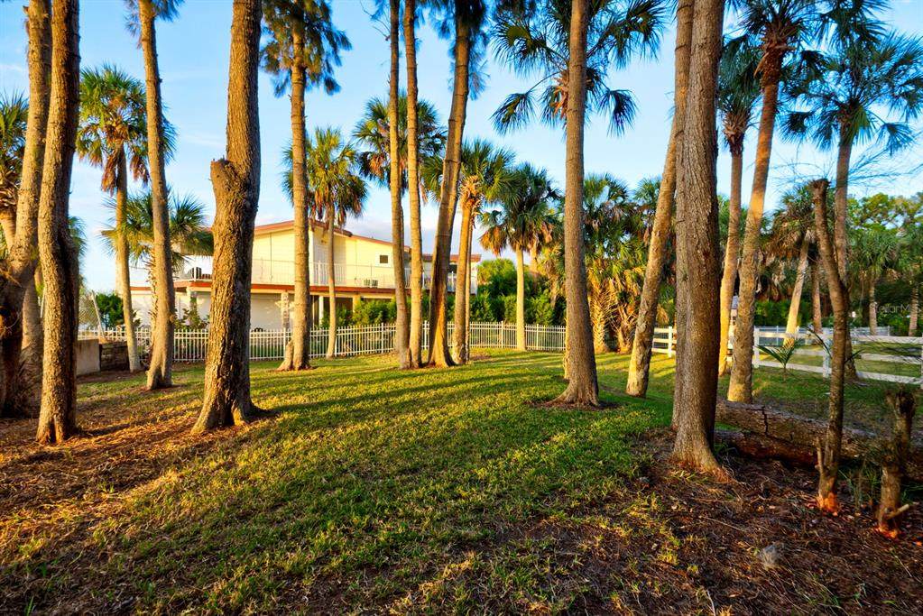 3439 Pandora Drive - Photo 1