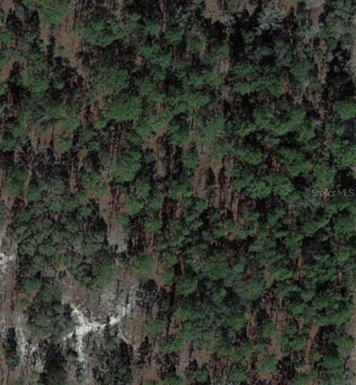 0 Sylvan Heights - Photo 1