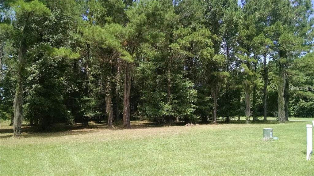 4748 Hickory Oak Drive - Photo 1