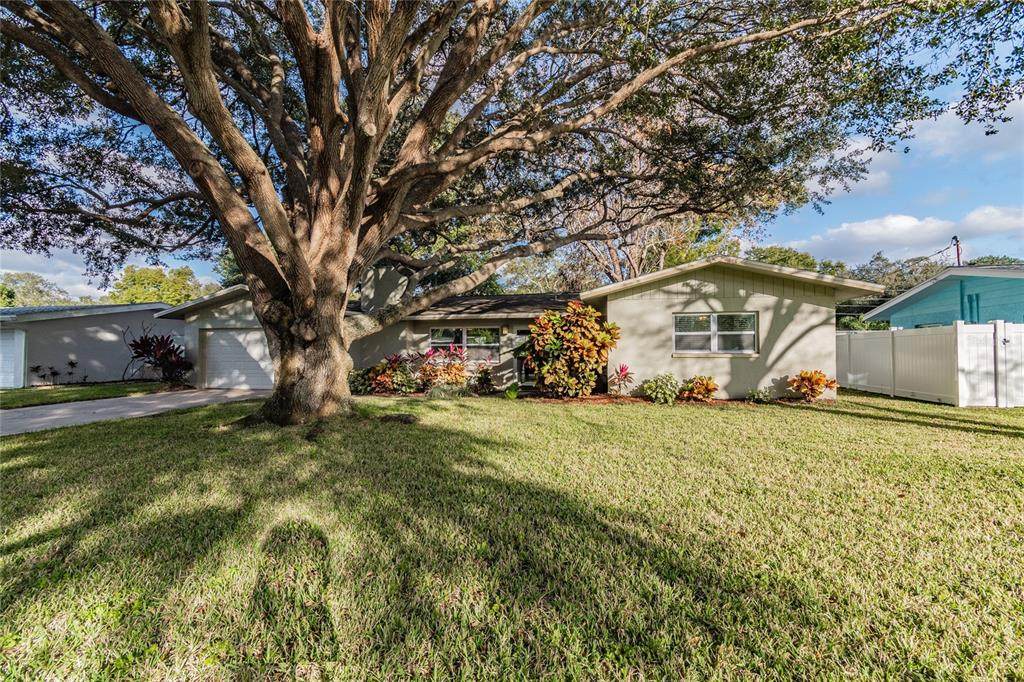 975 Phyllis Avenue - Photo 1