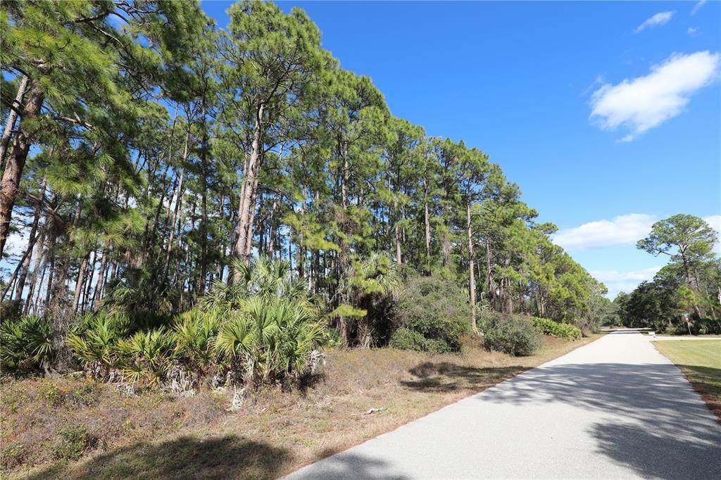 16422 Esposito Terrace - Photo 1