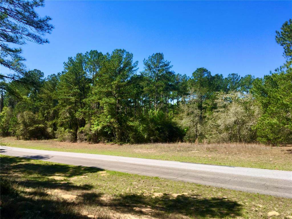1541 Citrus Springs Boulevard - Photo 1