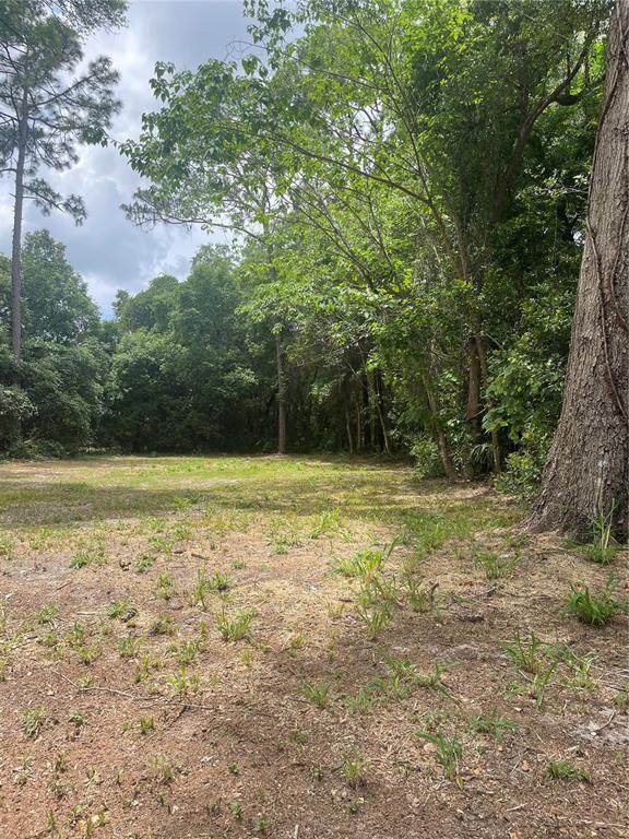 0 Highland Park Boulevard - Photo 1
