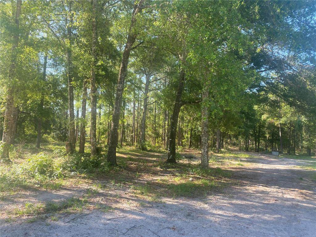 Bailey Hill Road - Photo 1