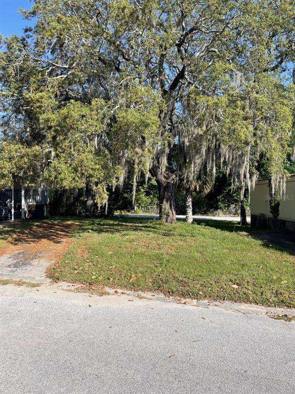 843 Oakwood Drive - Photo 1