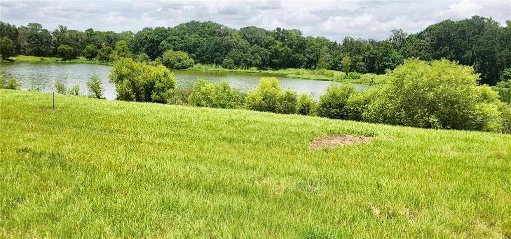 15318 Fishhawk Heights Run - Photo 1