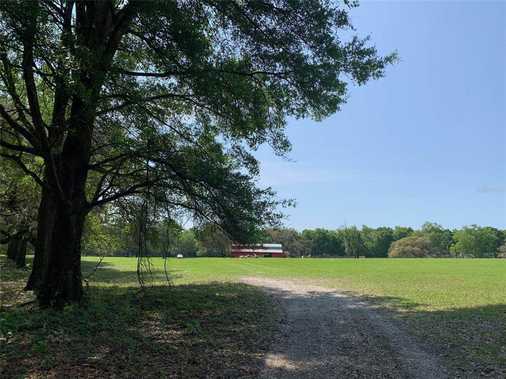 11499 Highway 484 - Photo 1