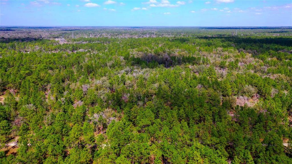 7137 Sunmar Sample Lane - Photo 1