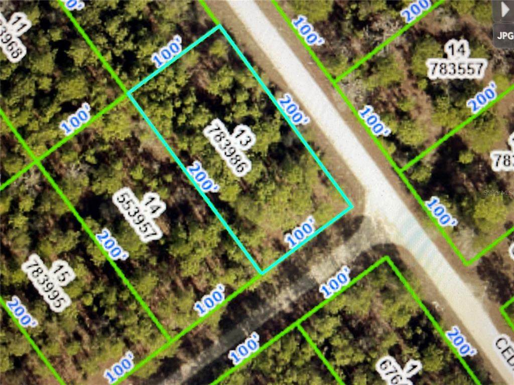 Cedarwood Avenue - Photo 1